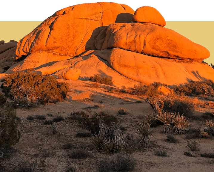 Scattered pieces of rock catch the warm glow of the sunset,